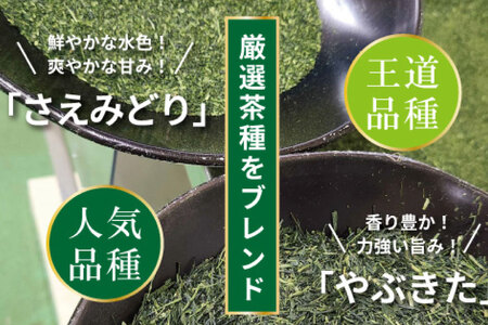 お茶 ティーバッグ 特撰 みやざき煎茶 3袋 セット [谷岩茶舗 宮崎県 日向市 452061642] 