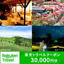 【ふるさと納税】長野県阿智村の対象施設で使える楽天トラベルクーポン 寄付額100,000円