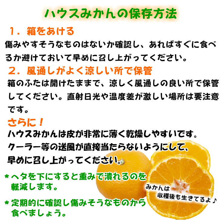 特撰品 有田のハウスみかん 赤秀 2.5kg 化粧箱入り (S～Lサイズおまかせ)_BD7007n_イメージ3