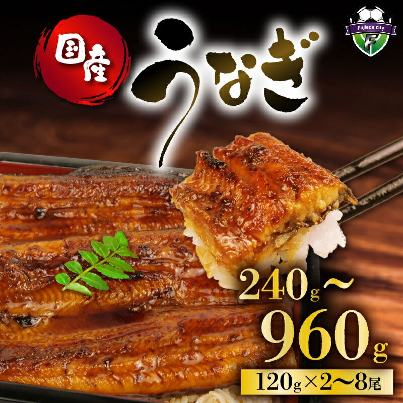【ふるさと納税】 うなぎ 国産 蒲焼 120g × 2尾 ～ 8尾 240g ～ 960g 父の日 鰻 ウナギ 土用 丑の日 JAS認定 レンチン 簡単 ギフト 贈答 冷凍 養殖 真空パック レンジ調理 湯煎 まとめ買い 美味しい 老舗 うなぎ屋 特製無添加 藤枝市 静岡県
