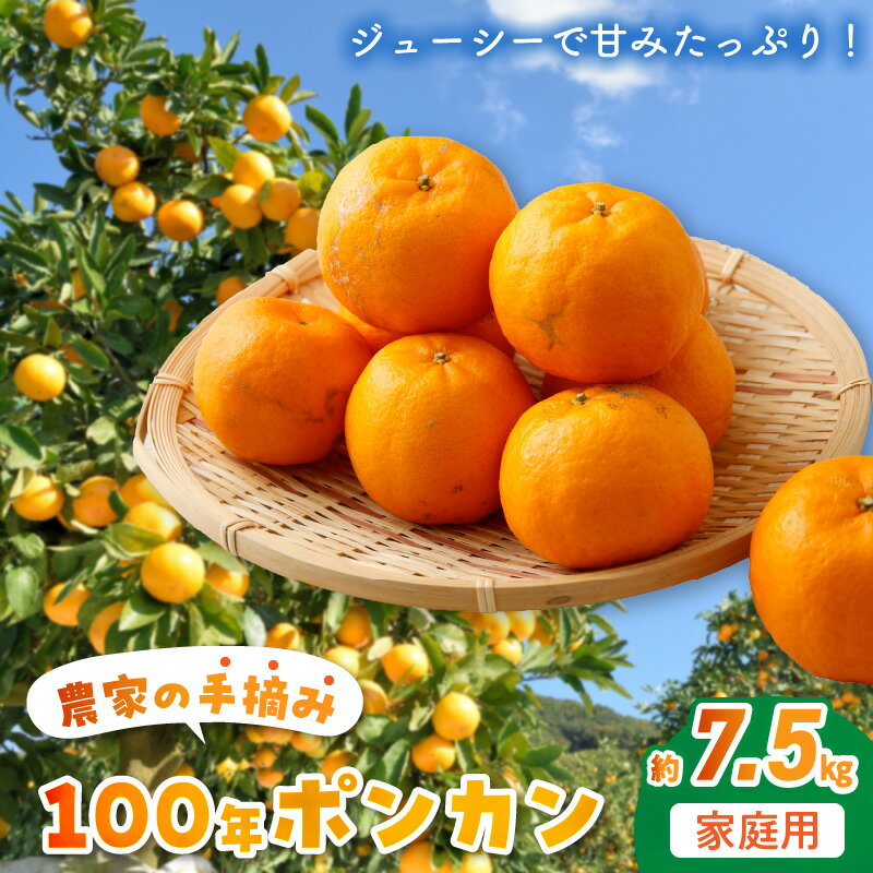 【ふるさと納税】ポンカン 約7.5kg 柑橘 100年ぽんかん 国産 手摘み 甘み 酸味 家庭用 果実 果肉 皮が剥きやすい お取り寄せ お取り寄せフルーツ 果物 フルーツ ジューシー 食べ物 常温 下浦ミカン振興会 九州 熊本県 天草市 予約受付 送料無料 先行予約