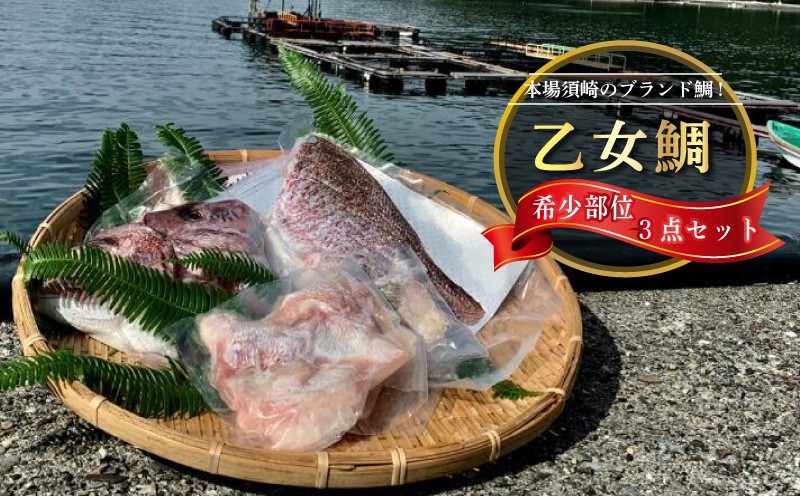 
乙女鯛 セット 希少部位 カマ 頭 フィーレ 3点セット 冷凍 お手軽 簡単 おかず 鯛 魚介類 須崎市 KS016
