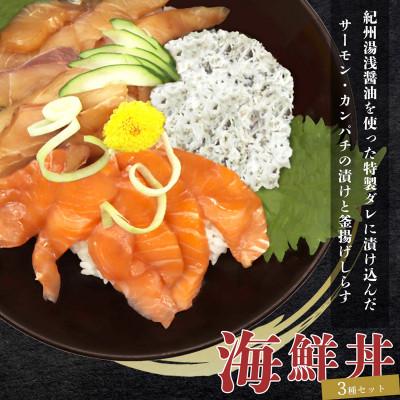 ふるさと納税 美浜町 紀州湯浅醤油を使ったサーモンとカンパチの漬け&amp;釜揚げしらすの 海鮮丼 3種セット×2 計600g