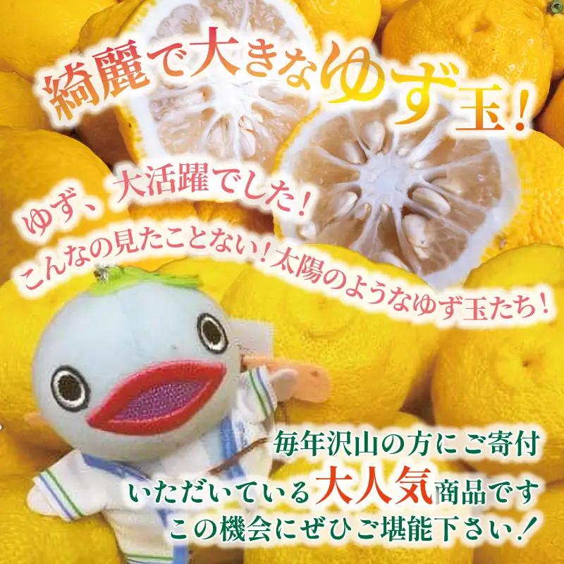 【先行予約】 安田町産 ゆず玉 料理にお酒にお風呂にどうぞ 期間限定