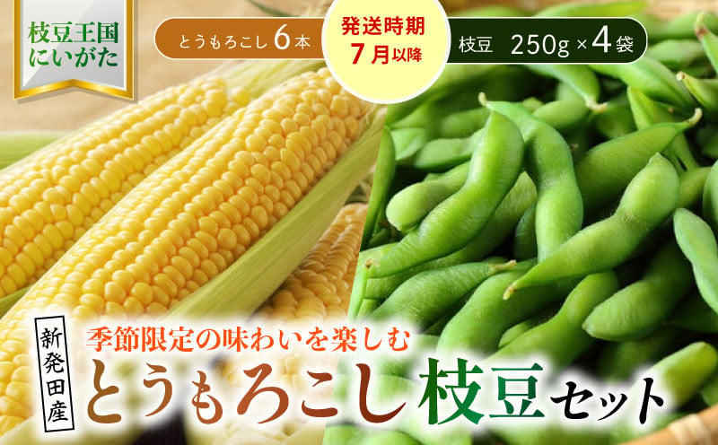 
                  夏の味覚の最強コンビ！枝豆＆とうもろこしセット  新潟県 新発田産 枝豆 とうもろこし セット 先行予約 数量限定 seida027_01
                