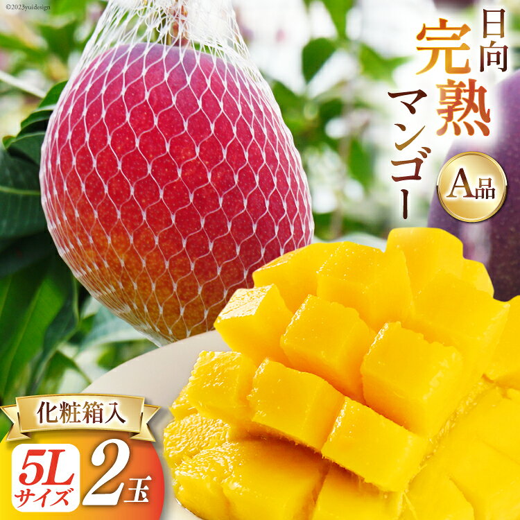【ふるさと納税】 【2027年夏発送】 宮崎 完熟 マンゴー 秀品 A品 5L×2玉 化粧箱入り [宮崎県農業協同組合日向地区本部（販売課） 宮崎県 日向市 452060663] 果物 フルーツ 完熟マンゴー 甘い 日向 化粧箱 期間限定 冷蔵