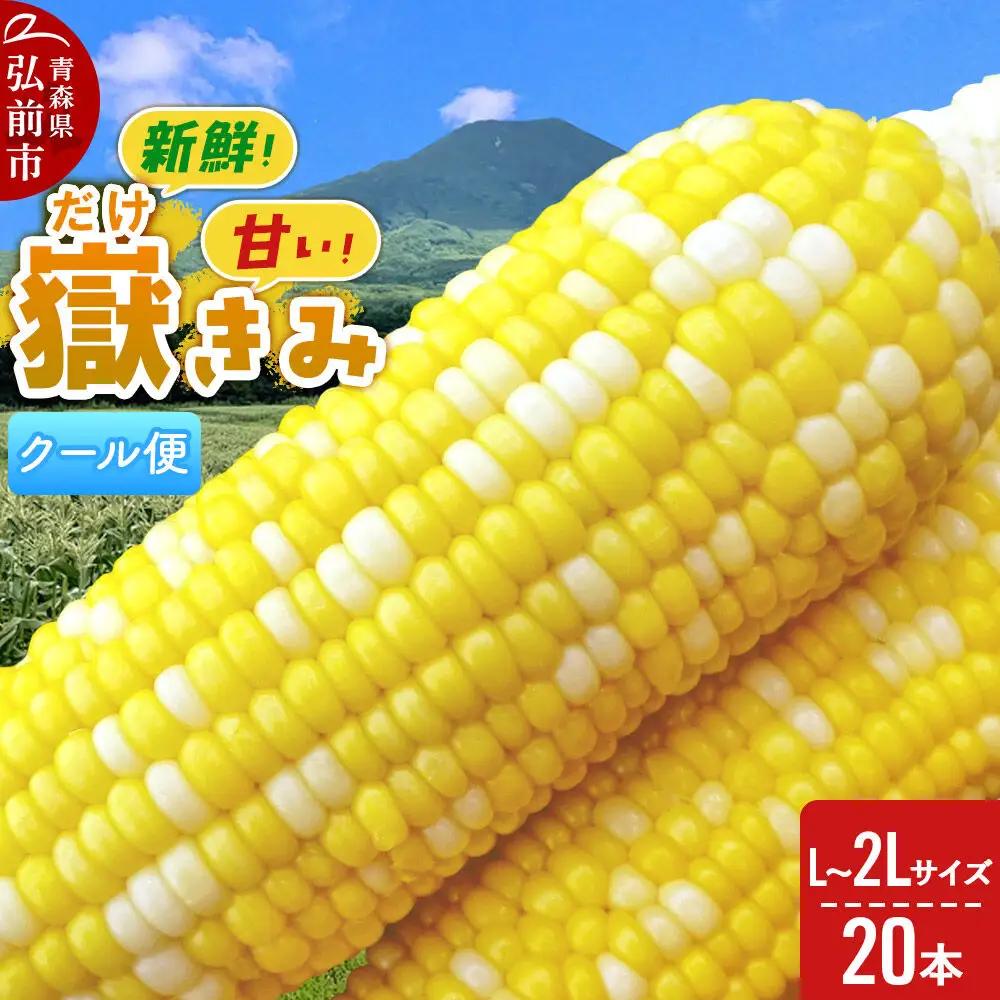 【26年8月下旬～クール便発送】とうもろこし 嶽きみ【先行受付】L～2Lサイズ 20本 しらかみラボ