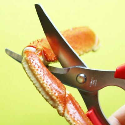 ふるさと納税 関市 かにはさみ　カニハサミ　かにハサミ　かに鋏　 |  | 01