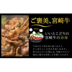 宮崎牛赤身スライス約500g(五ヶ瀬町)