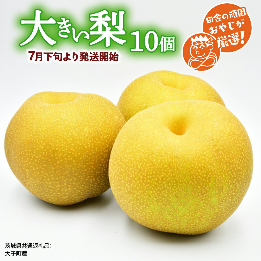 【ふるさと納税】大きい 梨 10個【7月下旬より発送開始】田舎の頑固おやじが厳選！