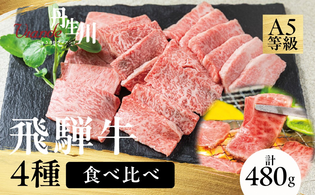 
                  4種食べ比べ！飛騨牛 A5等級 焼肉 480ｇ | 黒毛和牛 牛肉 焼肉セット ブランド牛 希少部位 冷凍牛肉 個包装 焼肉 丹生川精肉 JJ012
                