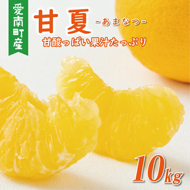 【ふるさと納税】 【高評価★4.67】 先行予約 選べる 規格 甘夏 10kg 訳あり 通常品 樹齢25年 以上 みかん 愛媛 ミカン mikan 蜜柑 わけあり あまなつ 夏みかん だいだい 国産 減農薬 期間限定 数量限定 人気 おいしい フルーツ 果物 柑橘 くらもとファーム 愛南町 愛媛県