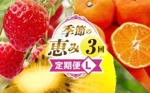 季節の恵み3回定期便L_mk165-t043