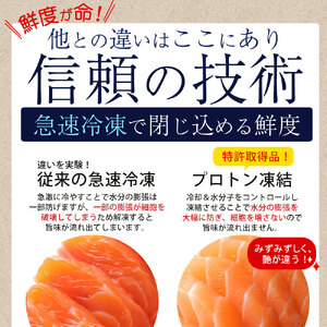 【ふるさと納税】 サーモン メルティーサーモン 300g アトランティックサーモン [ 小分け 刺身 鮭 冷凍 さけ サケ 海鮮 生サーモン 急速冷凍 魚 生食サーモン 人気 ランキング 三豊市 香川
