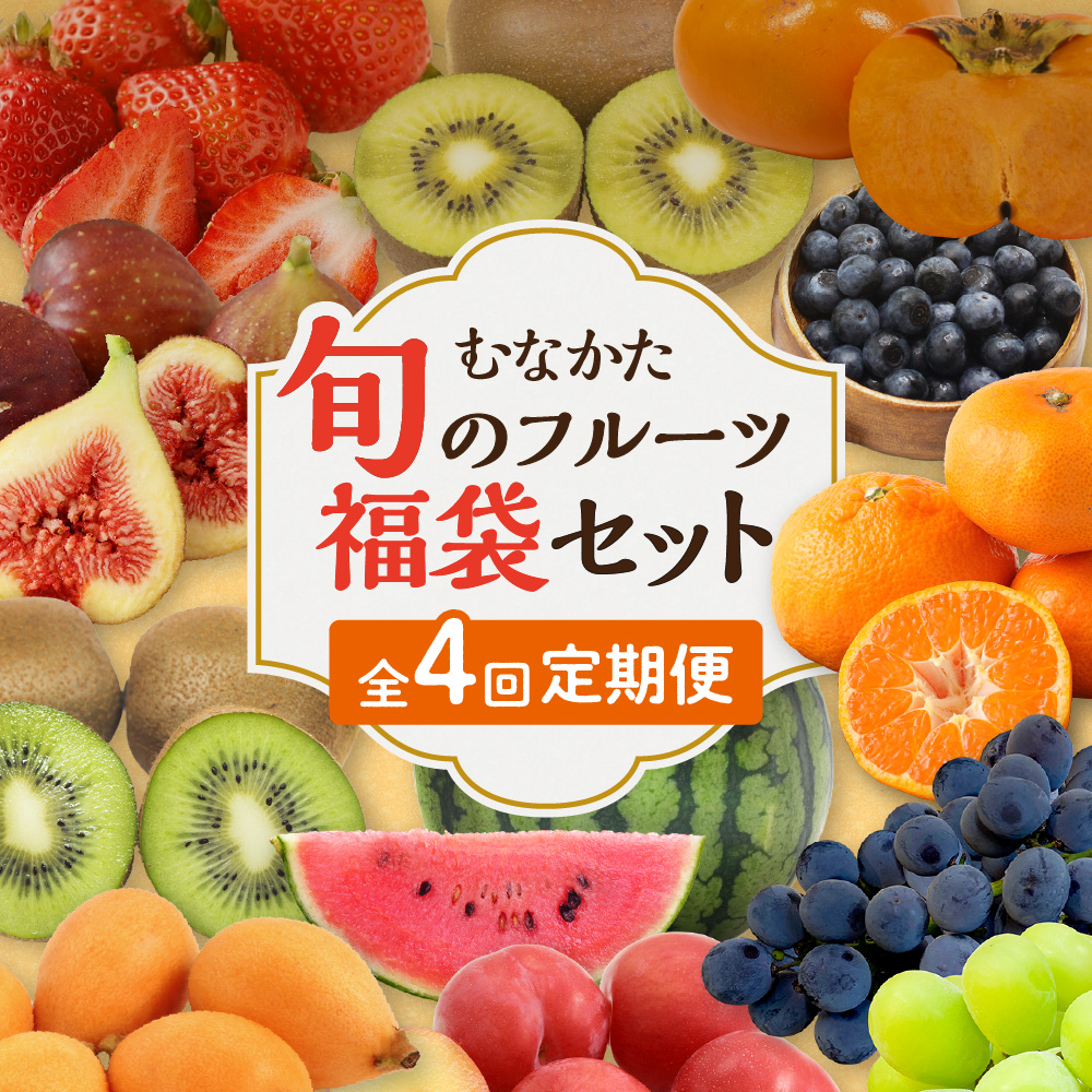 何が届くかお楽しみ！むなかた旬のフルーツ福袋定期便【年4回】【JAほたるの里】_HB0165