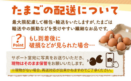 【3回定期便】あっぱれ卵 24個 /いとう養鶏場 [UAQ009] 卵 たまご 鶏卵