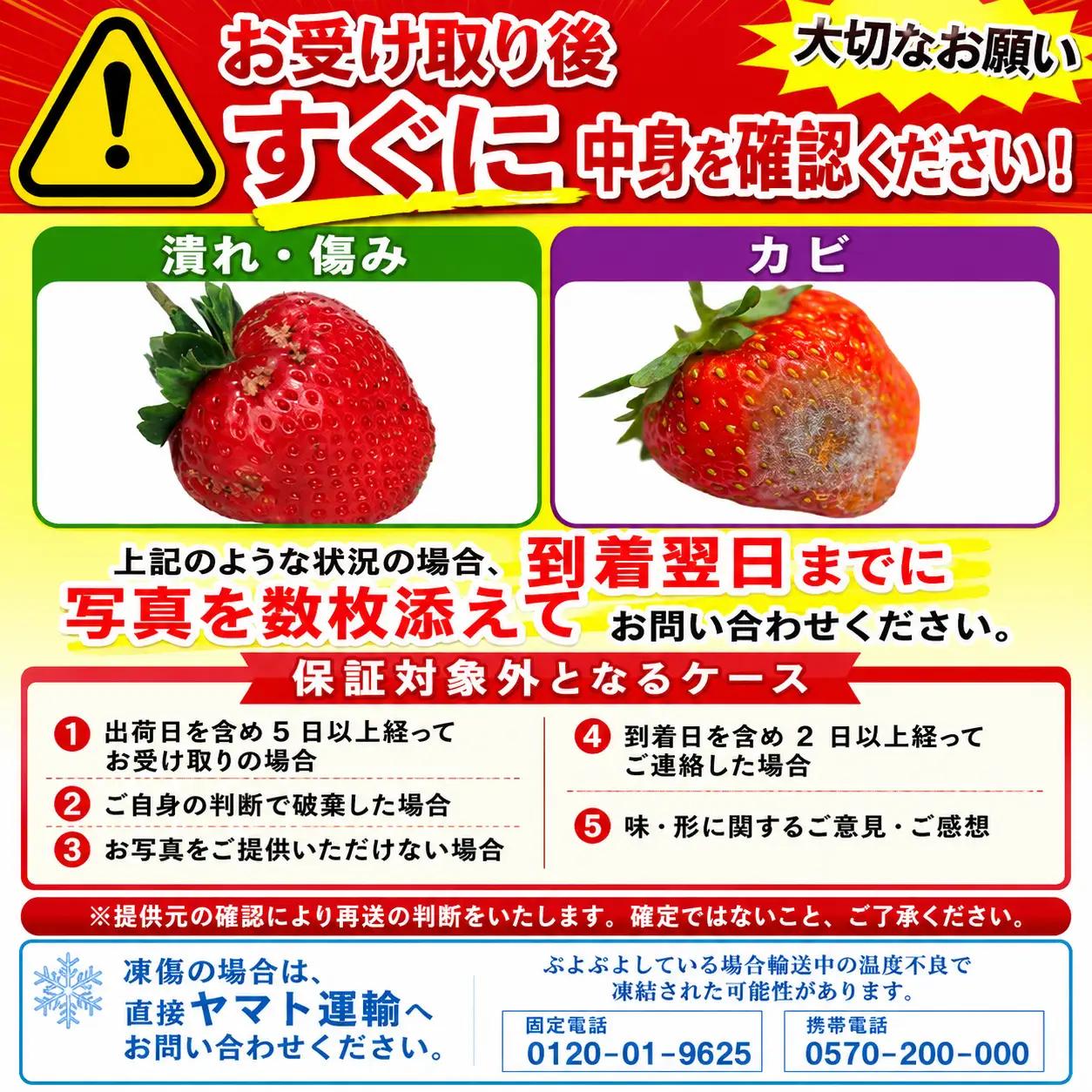 【2027年2月上旬‐3月上旬発送】先行予約 福岡県産 いちご あまおう  約250g×4P (約1000g) ｜苺 イチゴ KBY