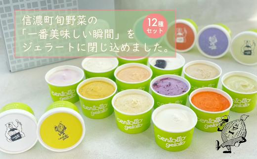 
                  信濃町の旬野菜でつくるジェラート12個セット（レギュラー6種 + 季節のフレーバー6種）｜信濃町の人気店 野菜ジェラートチェントット【長野県 信州 信濃町ふるさと納税】
                