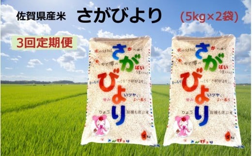 
                  【定期便】【3回】佐賀県産米『さがびより』10kg（5kg×2袋）
                