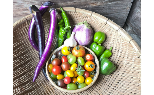 【定期便6回】那須ブランド 那須高原野菜セット｜野菜 お野菜 新鮮 詰め合わせ やさい みずみずしい 美味しい 自然 栃木県 那須町〔P-150〕※北海道・沖縄・離島への配送不可 ※2025年5月上旬