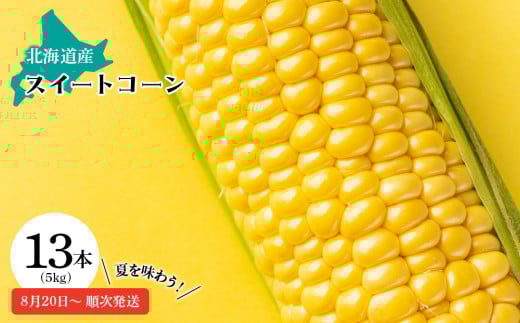 【2025年産 先行予約】スイートコーン トウモロコシ 5kg 13本入り【東神楽農業協同組合】 とうもろこし とうきび 新鮮 野菜 予約 国産 北海道産 夏発送