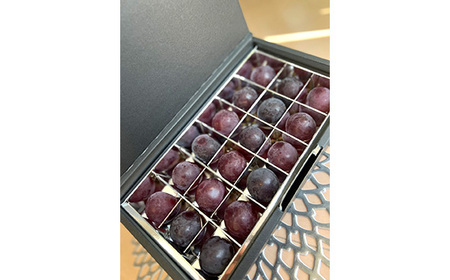 No.291 【先行予約】粒々ぶどう18粒　ナガノパープル【茨城県共通返礼品 かすみがうら市】