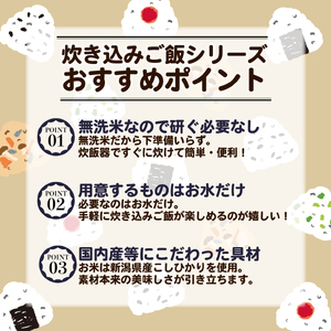 J15_01　新発田産コシヒカリ炊き込みご飯とおにぎり塩セット