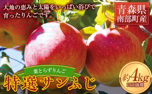 葉とらずりんご 特選サンふじ 約4kg 【四戸農園】 減農薬 有機肥料 青森りんご リンゴ 林檎 アップル あおもり 青森 青森県 南部町 果物 くだもの フルーツ F21U-502