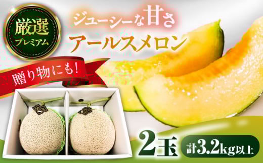 【2026年7月下旬〜発送】【平成新山メロンPREMIUM（とみちゃん厳選）】アールスメロン 2玉 / メロン めろん 青肉 糖度 2玉 果物 くだもの フルーツ ふるーつ 旬 高級 ギフト / 南島原市 / うえだメロン園 [SAD004]