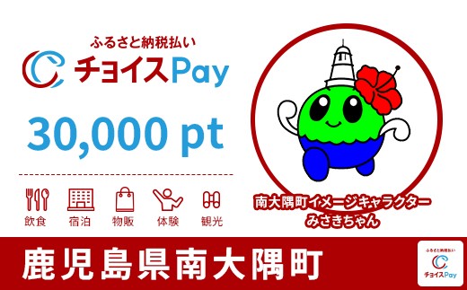 
            南大隅町チョイスPay 30,000pt【会員限定のお礼の品】
          