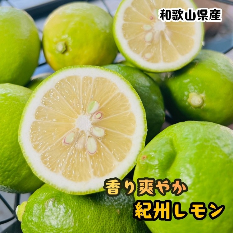 
                  農家直送 紀州 レモン 約2kg［MS94］
                
