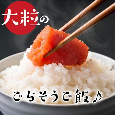 ふるさと納税 米沢市 【 令和7年産 】 雪若丸 計8kg ( 2kg×4袋 ) |  | 01