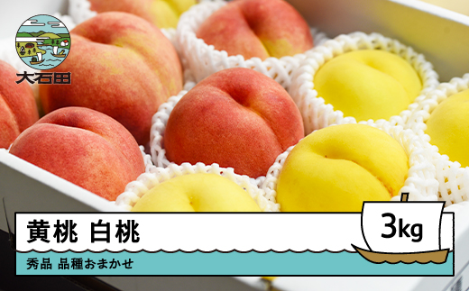 【先行予約】令和8年産 黄桃&白桃 品種おまかせ 計約3kg 2026年産 果物 ふるさと納税 果物 くだもの フルーツ 期間限定 冷蔵配送 先行受付 グルメ 取り寄せ ご当地 特産 産地 直送 送料無料 東北 山形県 人気 山形県 ry-mohot3000