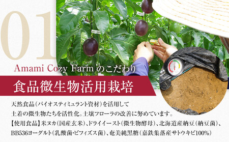 2026年先行受付【農薬・除草剤不使用】奄美大島産樹上完熟パッションフルーツ３kg