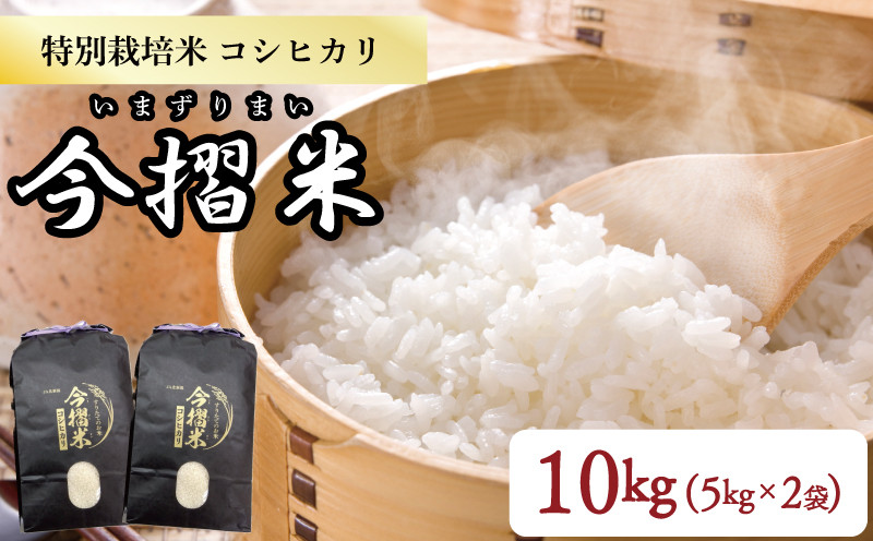 
            令和6年産 JA北新潟 特別栽培米コシヒカリ 5㎏×2袋 今摺米【 新潟県産 新発田 特別栽培米 コシヒカリ 5kg 2袋 今ずり米 JA北新潟 10kg D50_01 】
          