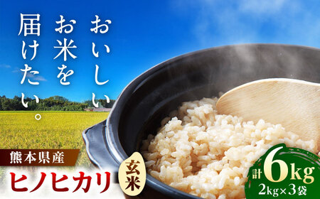  ヒノヒカリ 玄米 6kg（2kg×3袋） 【株式会社 岩下農園】[ZFS005]