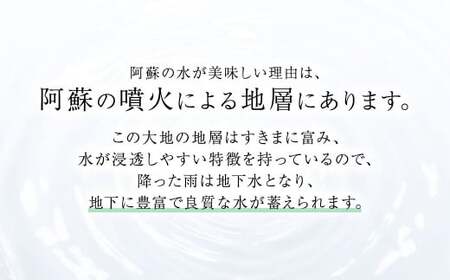 【定期便12ヶ月】 い・ろ・は・す（いろはす）阿蘇の天然水 540mlPET 計576本（24本×2ケース)×12回