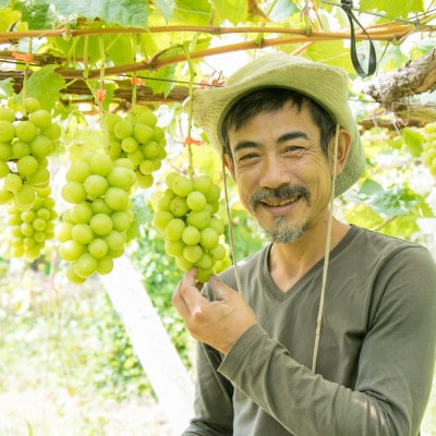 銀河農園まきおかのシャインマスカット(種なし)約1.5kg(2～3房)【配送不可地域：離島】