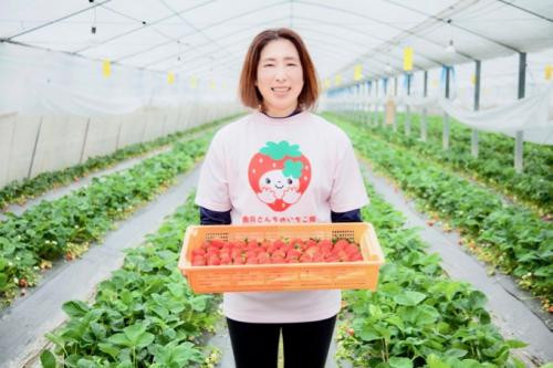 シロップ使用のイメージです。果肉は入っていません。