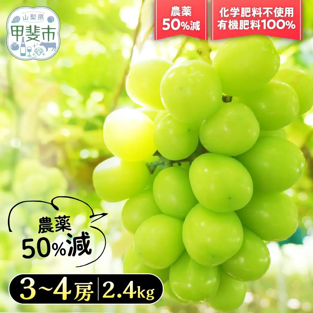 自然塾夏 シャインマスカット 約2.4㎏ 減農薬 フルーツ 