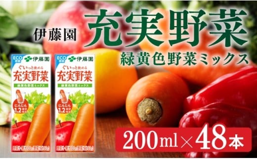 伊藤園 充実野菜 緑黄色野菜ミックス（紙パック）200ml×48本 【飲料類 野菜ジュース 野菜 ジュース ミックスジュース 飲みもの】 [C07360]