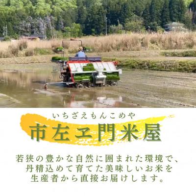 ふるさと納税 小浜市 令和7年産　農家直送　福井県産こしひかり　白米10kg(5kg×2袋) |  | 02