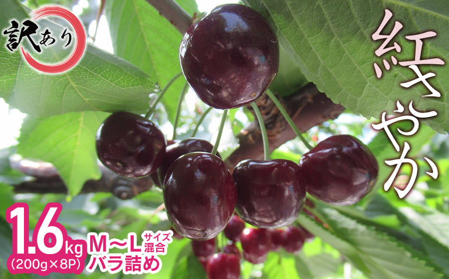 【令和5年 先行予約】【訳あり】 紅さやか M～Lサイズ混合 バラ詰め 1.6kg（200g×4P×2箱） 大膳農園