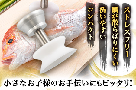 ストレスフリーなBM式うろこ取り《30日以内に出荷予定(土日祝除く)》有限会社BMエンジニアリング 福岡県 鞍手町 鱗取り うろこ取り 魚 料理 調理器具 送料無料