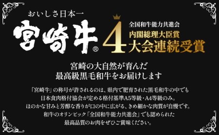 宮崎牛ロースステーキ200g×2枚(計400g)　宮崎牛ステーキ【牛肉　黒毛和牛　宮崎牛　ステーキ　ロースステーキ】