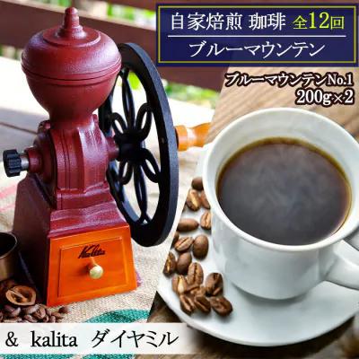 ふるさと納税 小郡市 定期便 12回 自家焙煎ブルーマウンテン(スト) 12ヶ月&amp;ダイヤミル[No5354-2171]