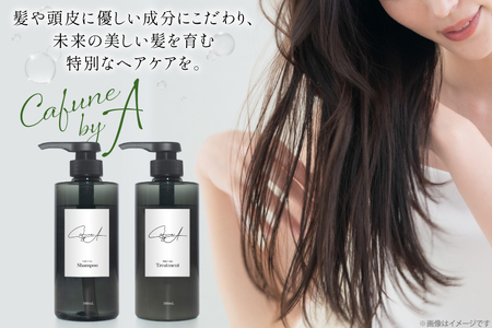 シャンプー トリートメント シャンプー 500ml 1本 トリートメント 500ml 1本