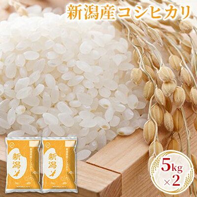 【ふるさと納税】【先行予約】R8年産新潟産コシヒカリ 5kg×2 お米 精米 白米 ご飯 ブランド米 銘柄米 おにぎり お弁当 産地直送　お届け：2026年10月上旬～2027年9月下旬