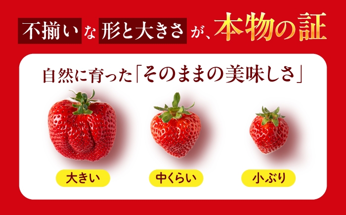 あまおう 果物 フルーツ ストロベリー グルメ パフェ ケーキ パンケーキ