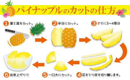 2026年発送【名護パイン園】　ゴールドバレル（大玉2玉） 先行予約　 パインアップル パイナップル 期間限定 数量限定 フルーツ くだもの 果物 贈答 贈り物 プレゼント 人気 おすすめ 南国 お土